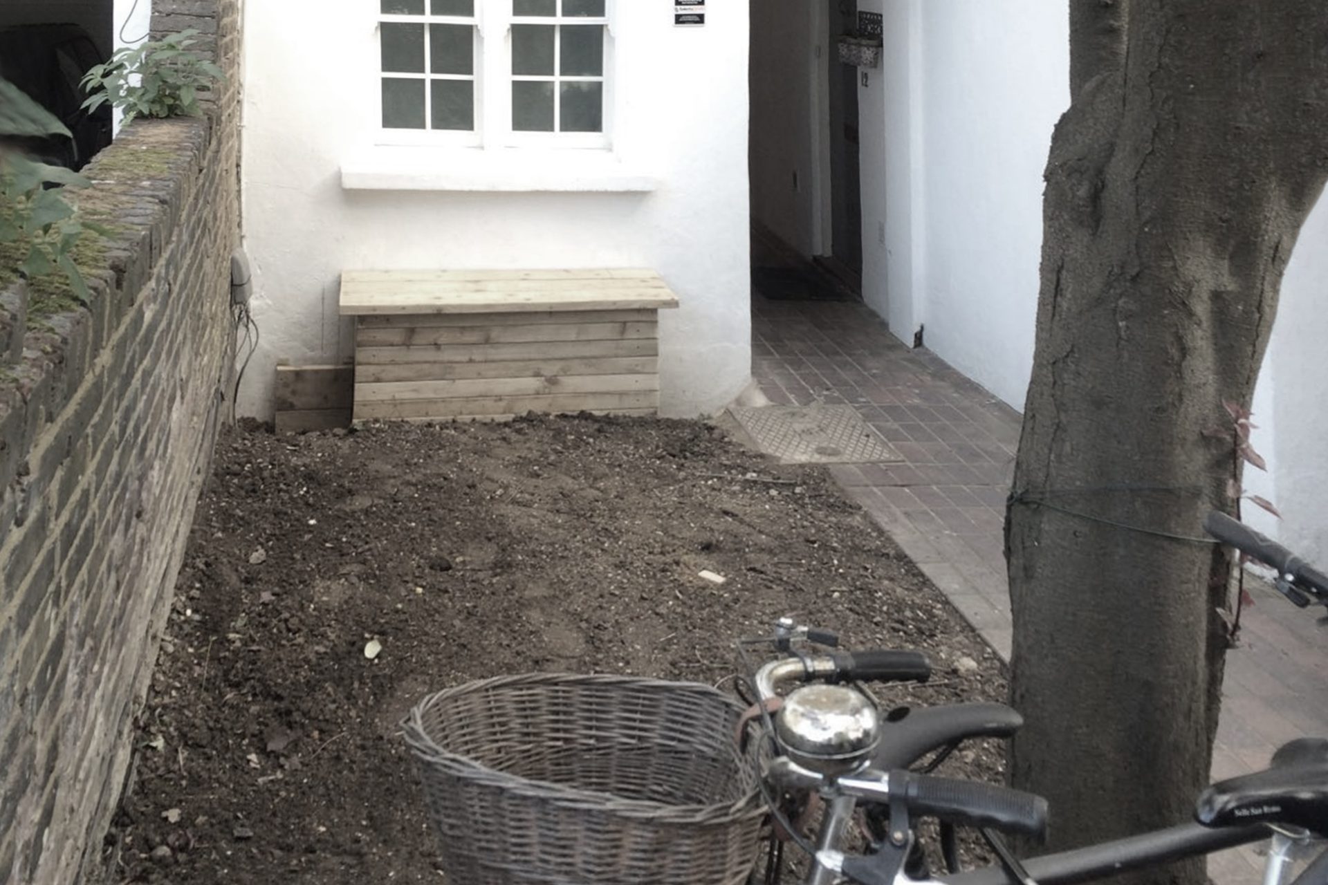 This was the state of the garden before our intervention