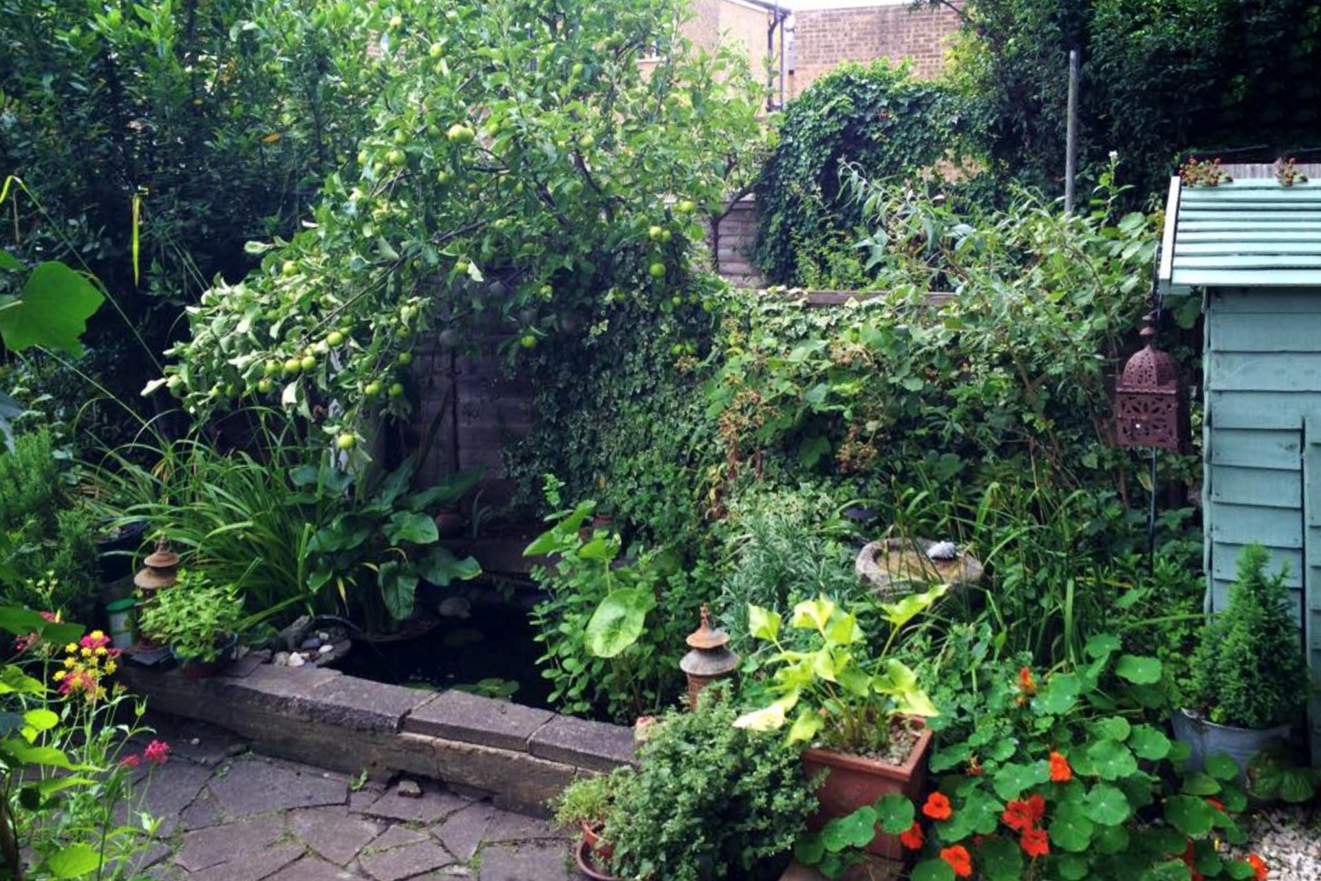 Finished work in Hampstead Village's house