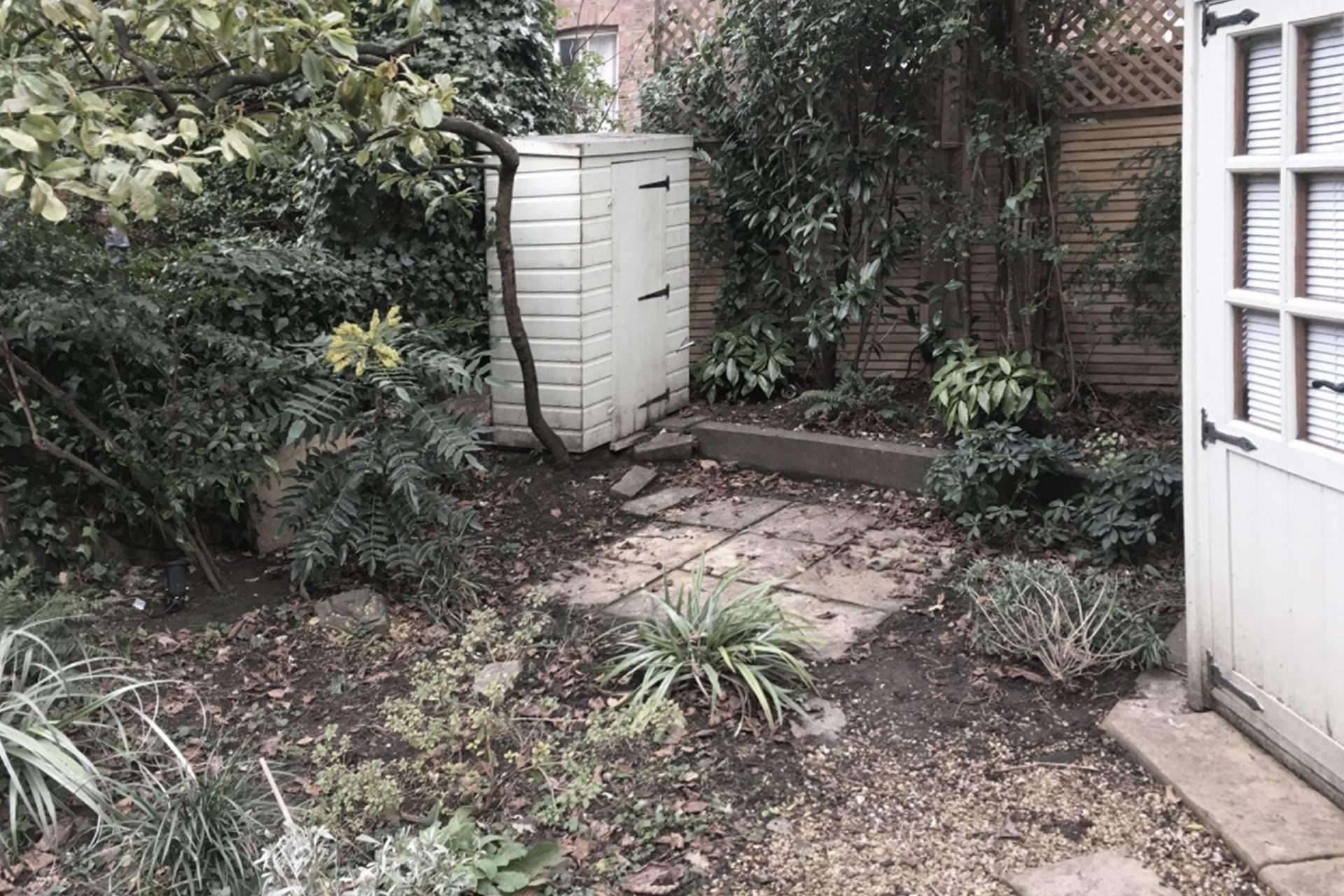 State of the garden before The Ginkgo Leaf's intervention