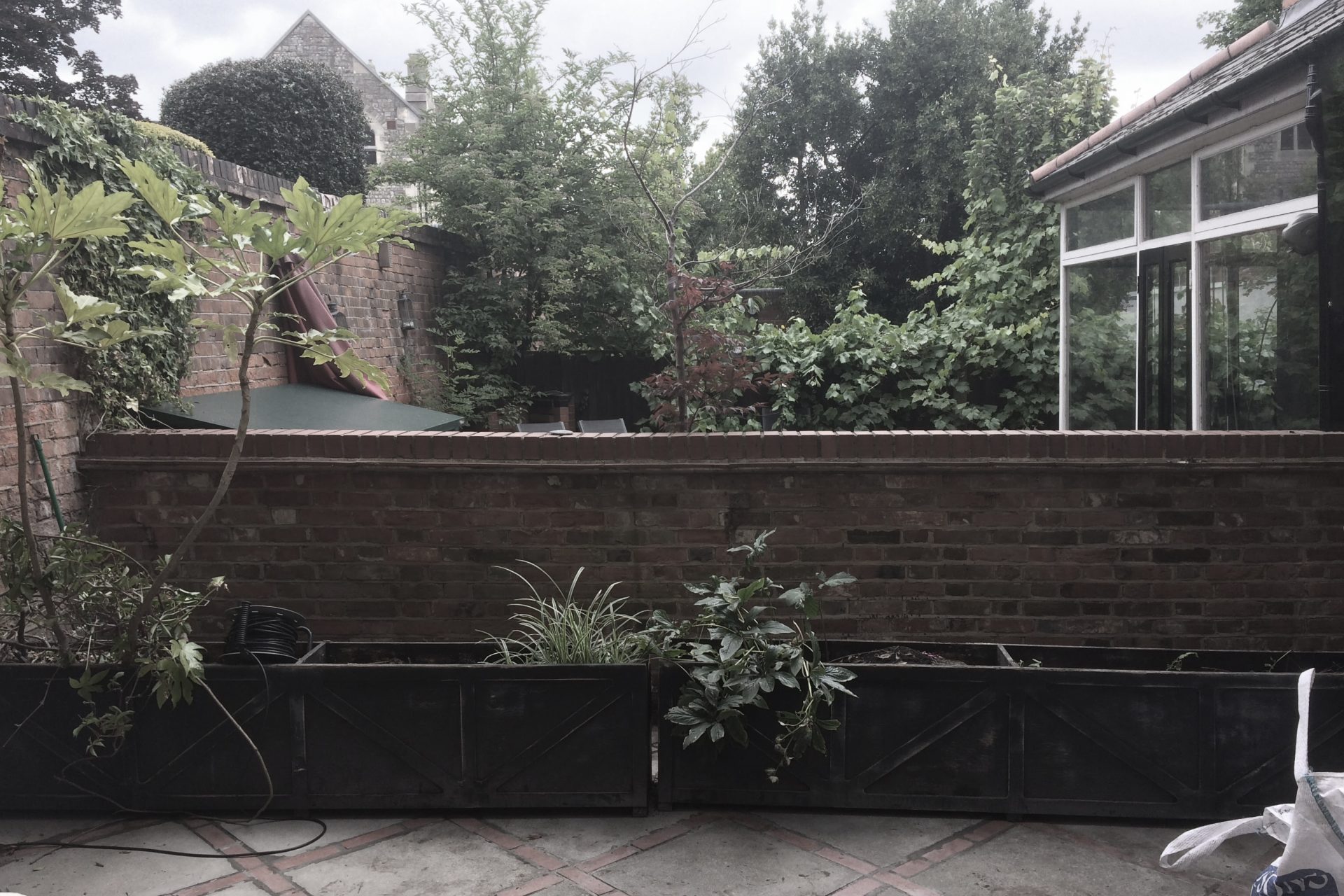 State of the shady patio before the intervention of The Ginkgo Leaf